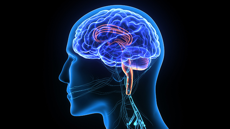 Fact you should know about Neurosurgery treatment