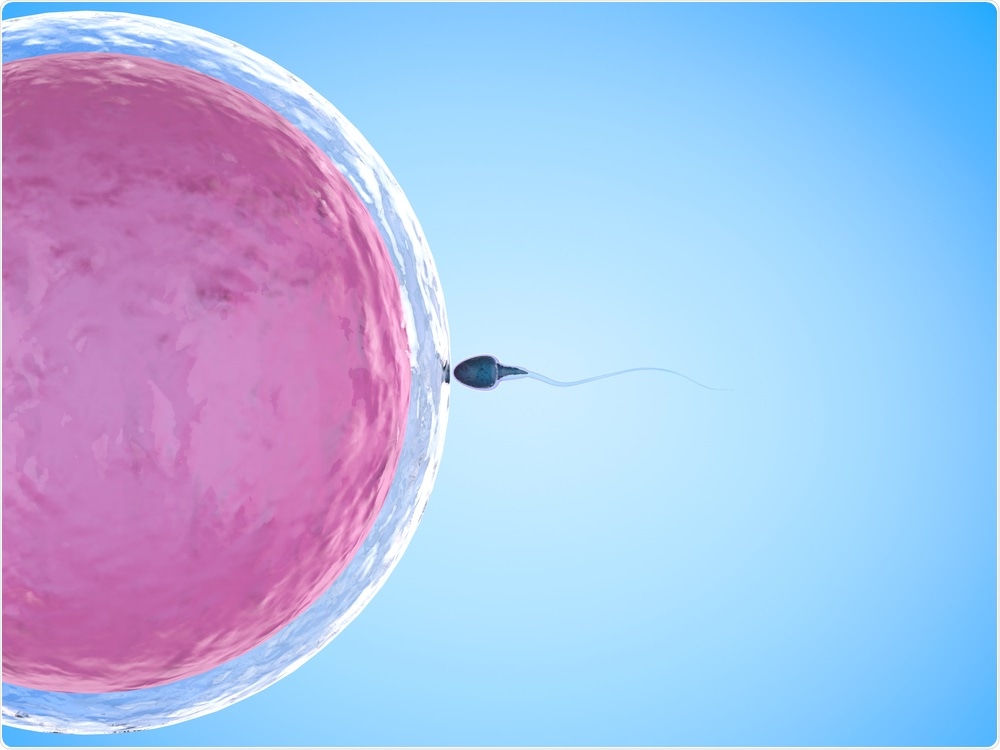 IVF Treatment is the best way to conceive your baby fast