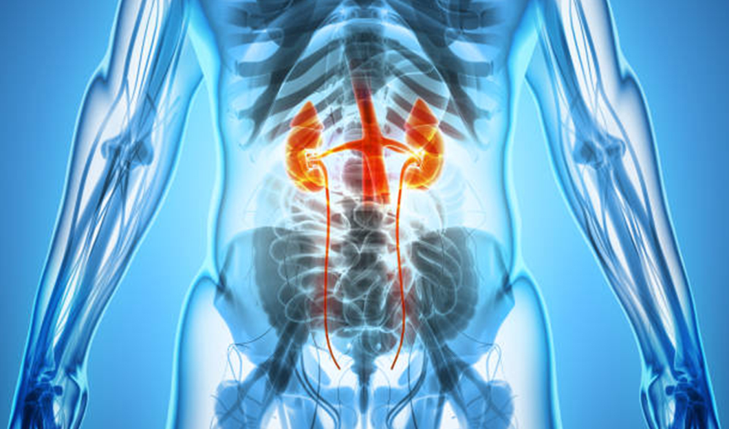 Know About Urology Treatment In Turkey, Prostate Enlargement Treatment